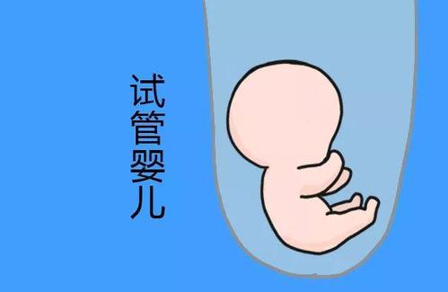 中心环境